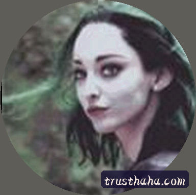 王总